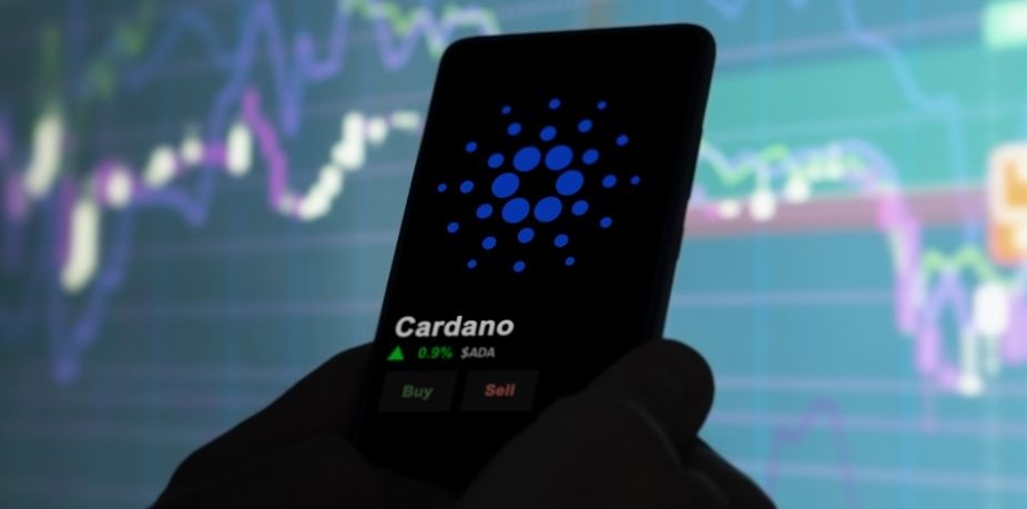 Intégration de Systèmes Cardano